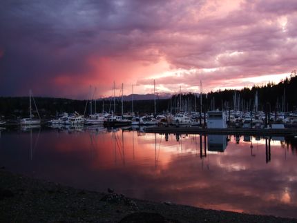 Kathy Renner Port Ludlow Photo