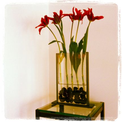 Inspiring Moment: Red Tulips