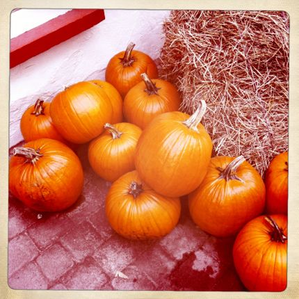 Inspiring Moment: Pile o' Pumpkins five more minutes with